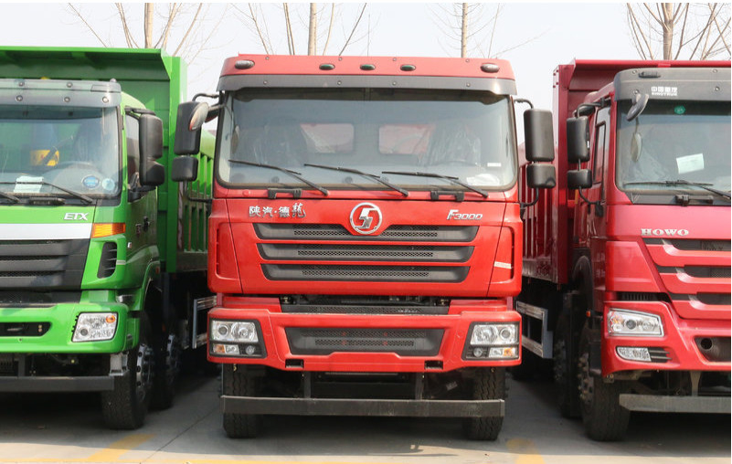 Da cubeta cúbica de 25 o caminhão basculante diesel medidores 15 toneladas carrega o caminhão basculante 430hp de Rhd da condução à direita 8x4 do Euro II