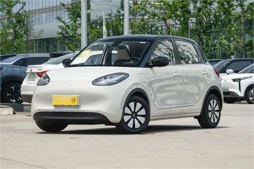 Veículos de energia nova em segunda mão Wuling Bingo Light Coffee Color 333KM Modelo