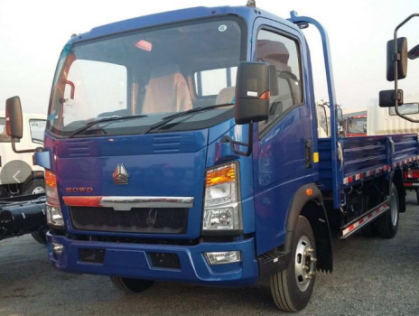 3 toneladas de caminhão comprimento de carga tanque Howo 4 * 2 caixa plana caminhão caminhão de cabine única RHD Euro 2