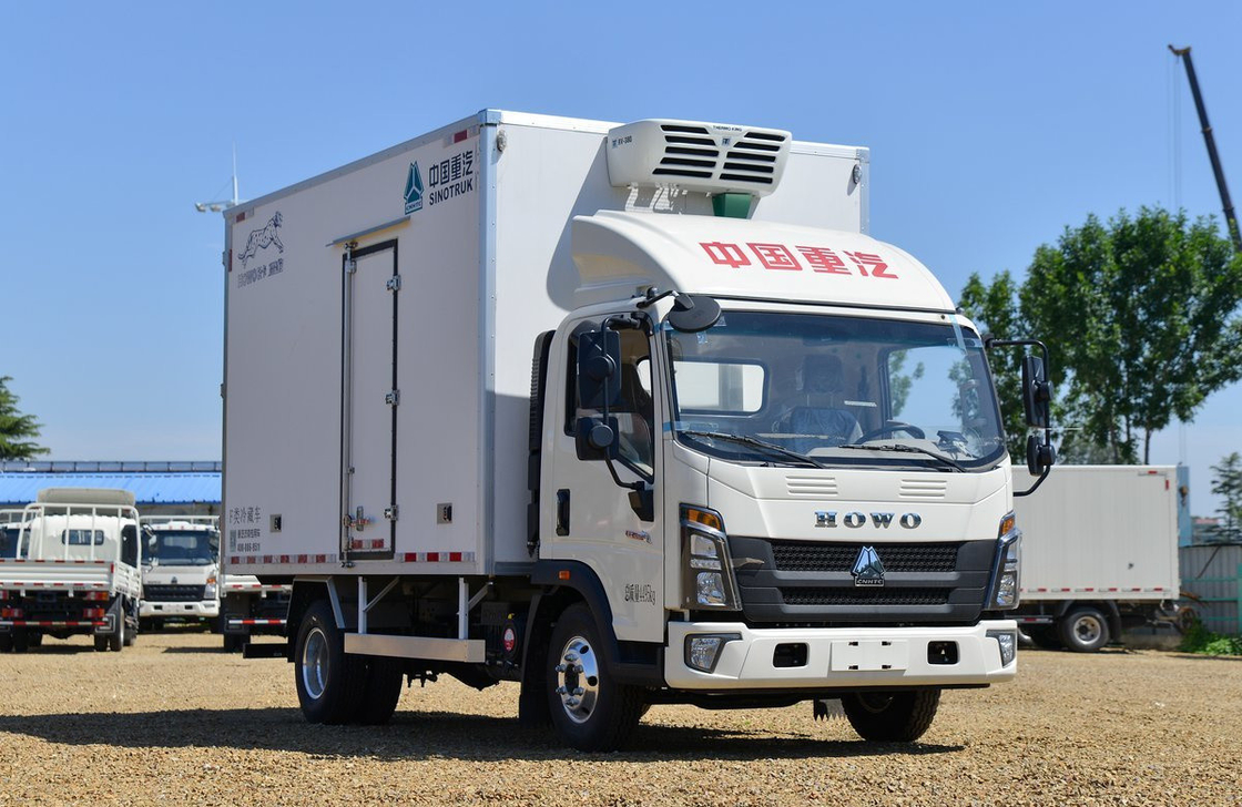 Caminhão congelador para venda Caminhão Sinotruck Howo 4*2 Caminhão frigorífico de eixo único Caminhão furgão caixa 20 cúbico