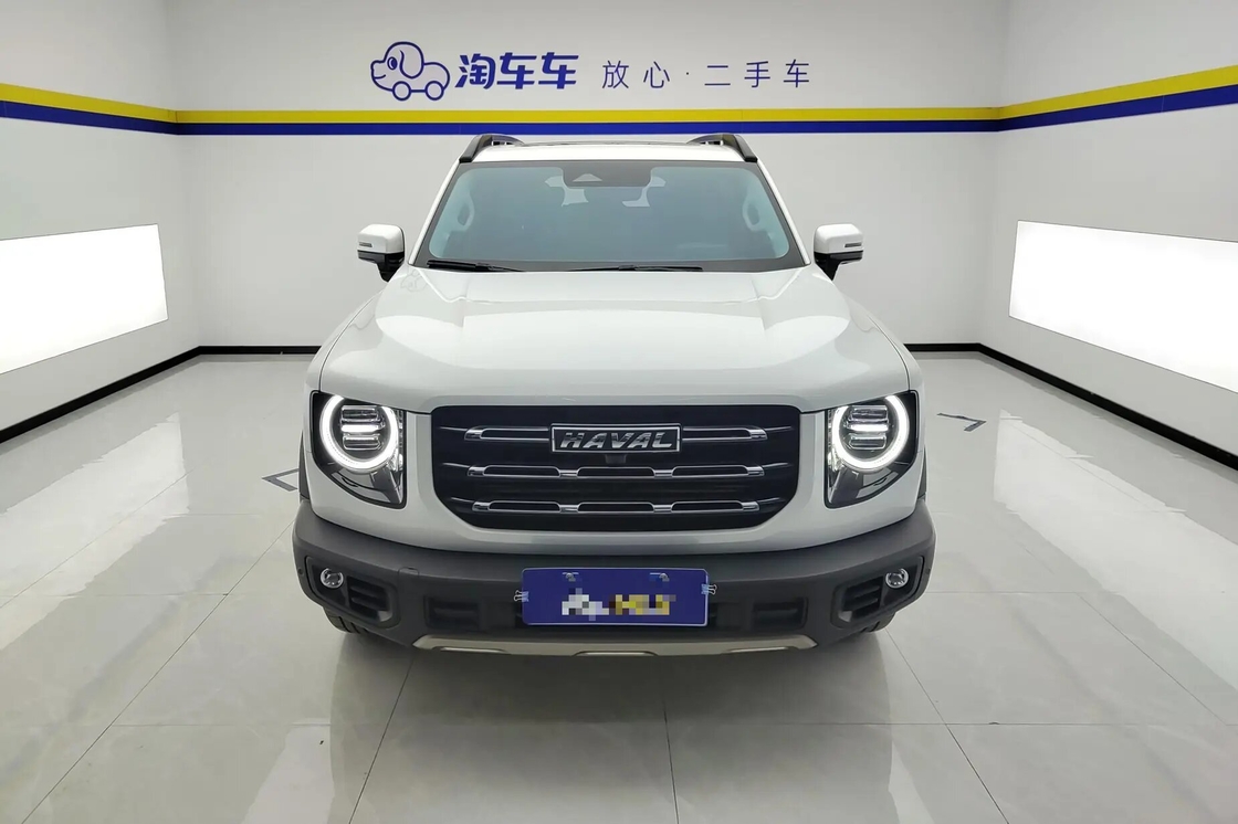 Haval Big Dog 2021 1.5T 2WD Border Collie Edition Econômico Para Venda Uso Familiar de Luxo 2wd