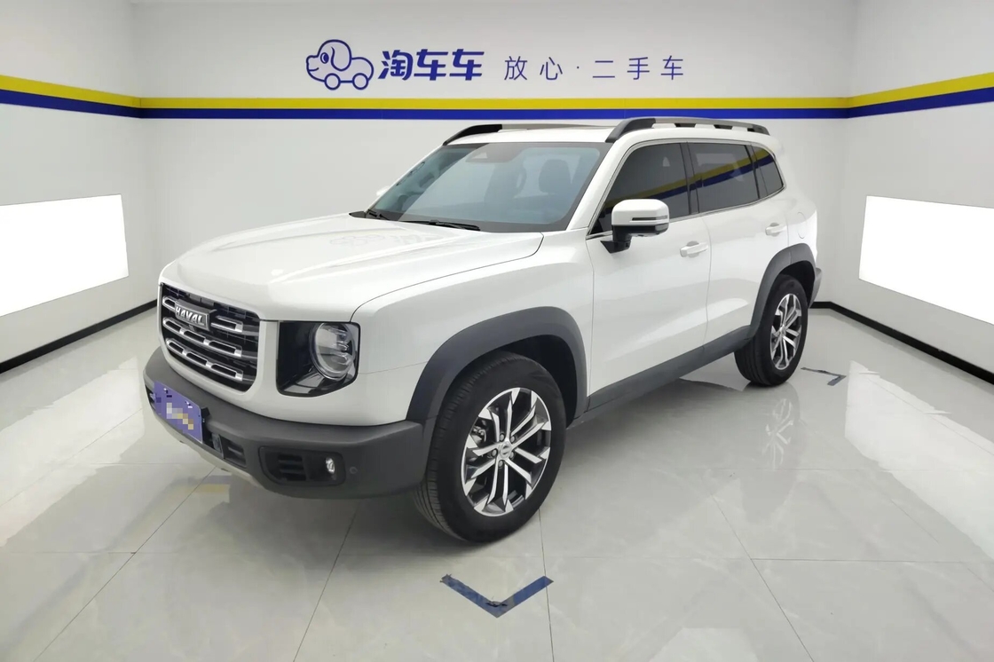 Haval Big Dog 2021 1.5T 2WD Border Collie Edition Econômico Para Venda Uso Familiar de Luxo 2wd