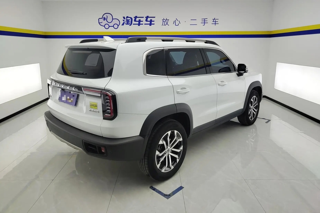 Haval Big Dog 2021 1.5T 2WD Border Collie Edition Econômico Para Venda Uso Familiar de Luxo 2wd