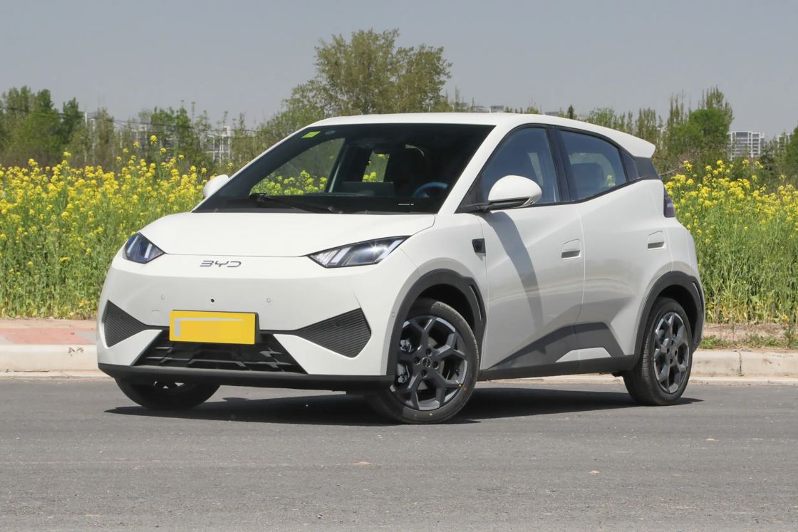 Acessível Novo BYD Gavião Pequeno Carro 2025 Elétrico 2WD Para Exportação para uso familiar