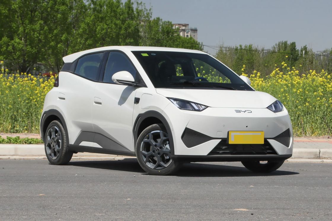 Acessível Novo BYD Gavião Pequeno Carro 2025 Elétrico 2WD Para Exportação para uso familiar