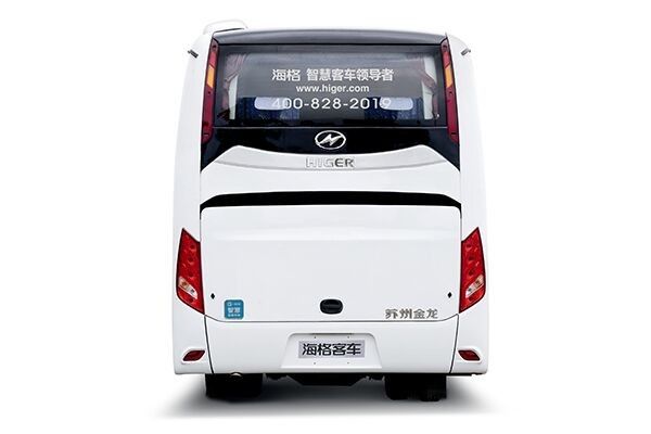 Aparência nova mini tipo usado tipo mais alto do combustível diesel do ônibus com 19 Seat