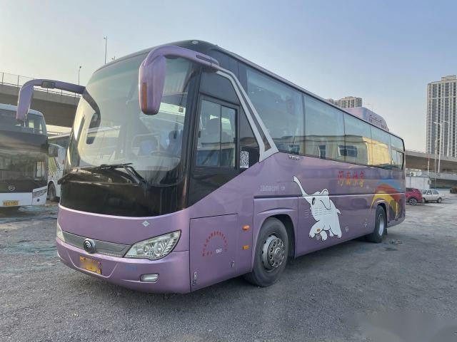 Retardador usado dos assentos das portas dobro 47 do chassi da bolsa a ar do motor do ônibus ZK6119 CNG WP.270 de Yutong